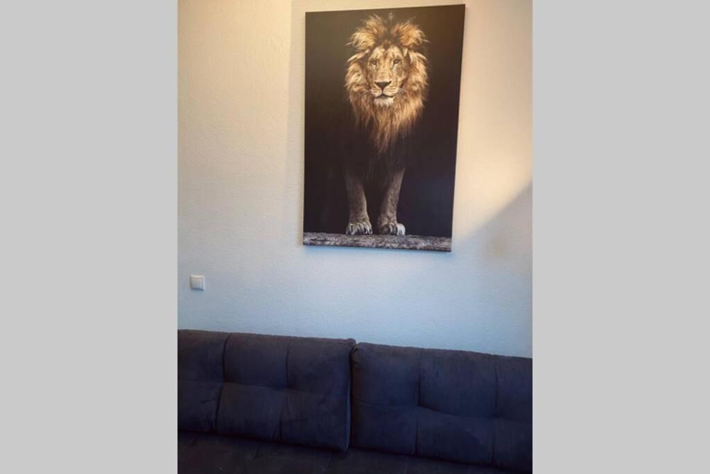 Comfortable New In #koblenz# Direkt Am Rhein Coblence